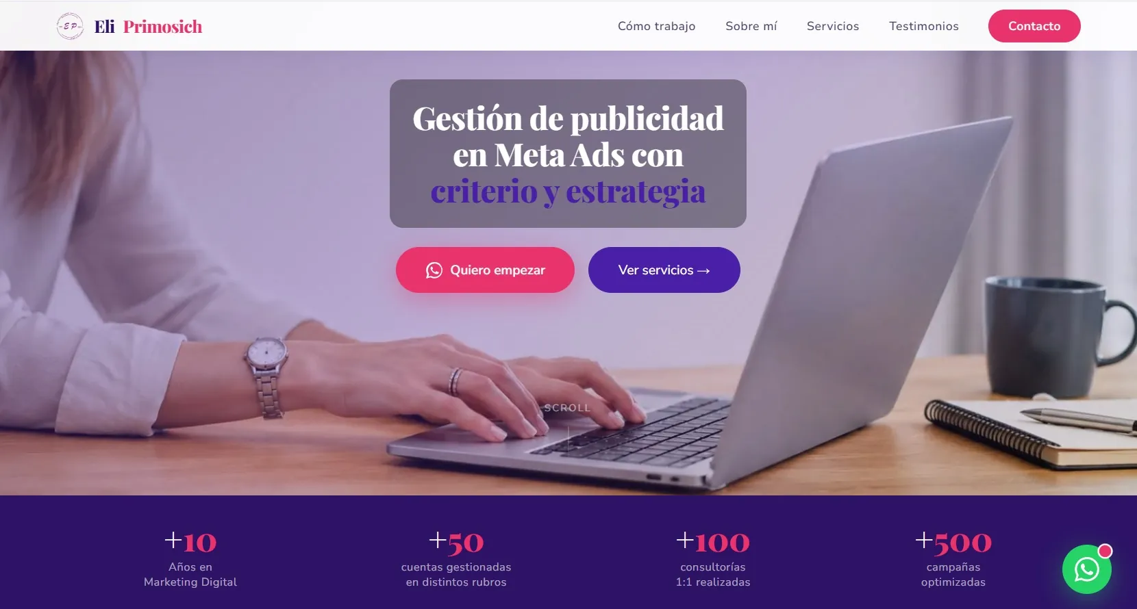 PageSpeed Eli Primosich home
