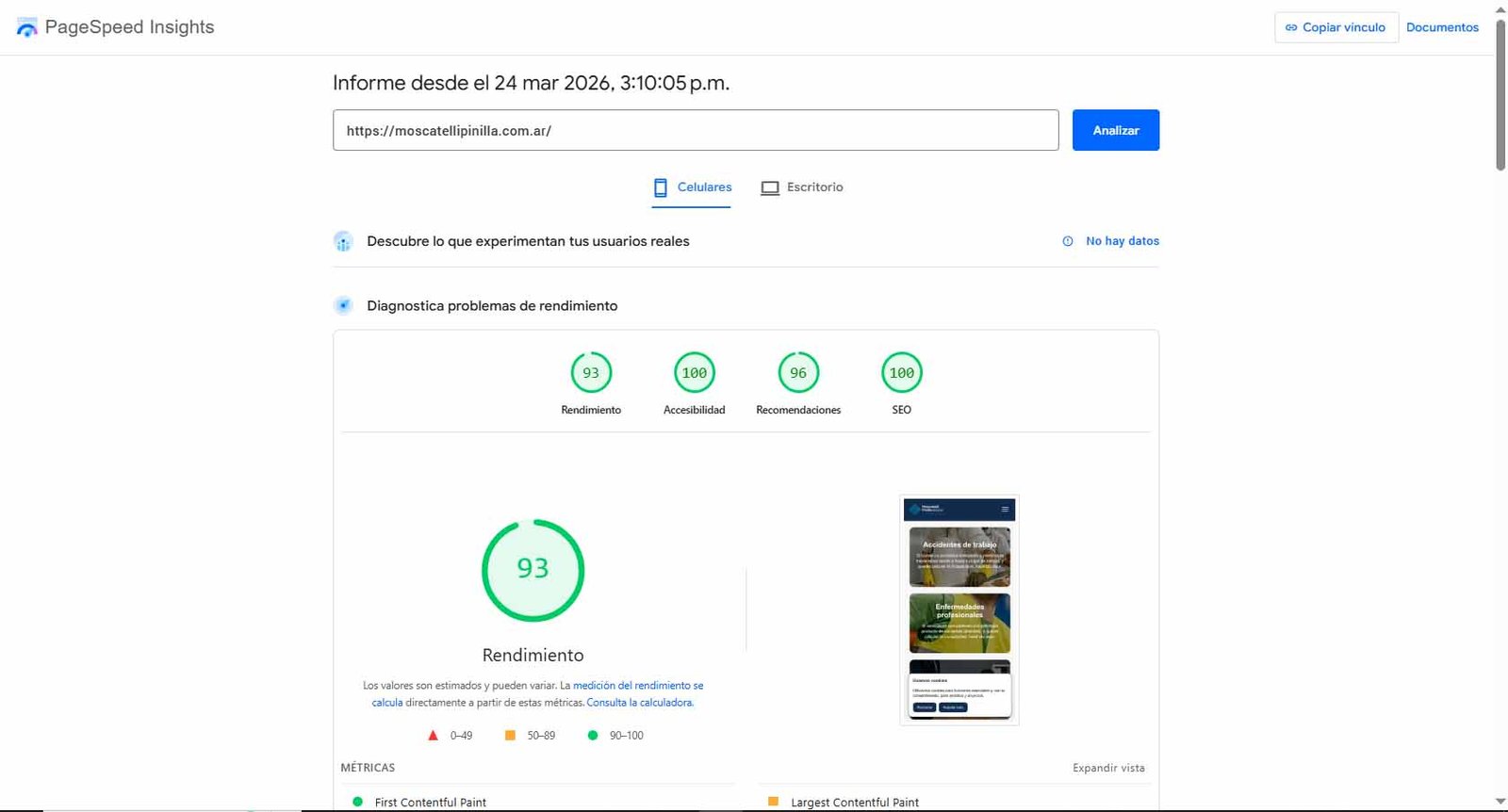 PageSpeed Insights Moscatelli & Pinilla