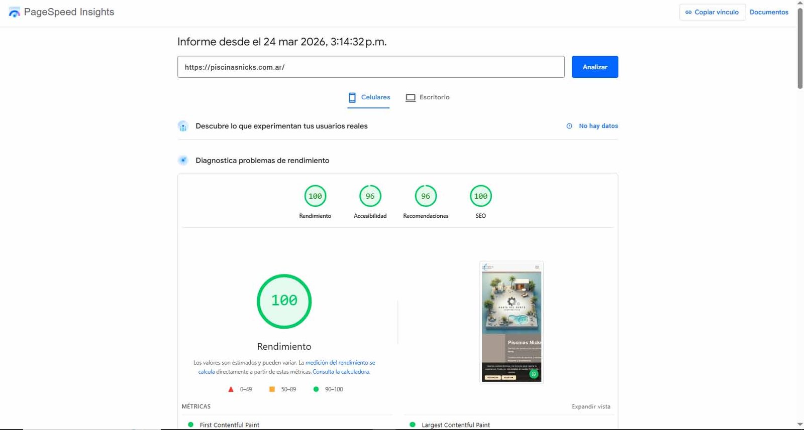 PageSpeed Insights Piscinas Nicks